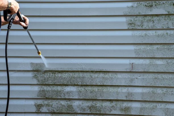 Best Residential Vinyl Siding Installation  in Cottonde, AL