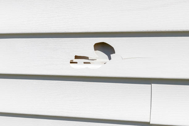 Best Wood Siding Installation  in Cottonde, AL