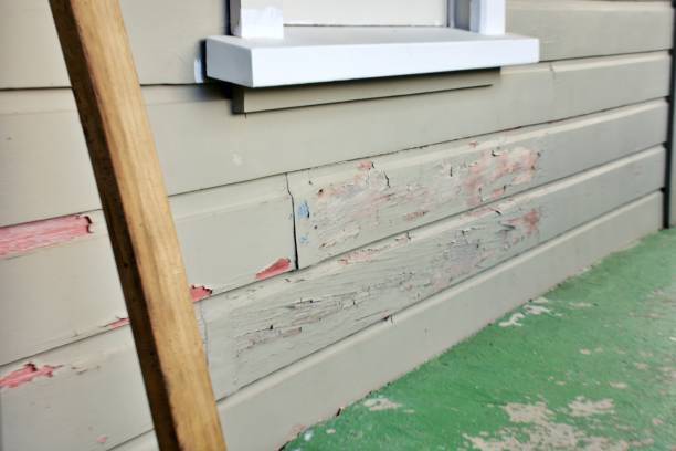 Best Siding Repair  in Cottonde, AL