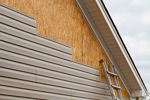 Best Storm Damage Siding Repair  in Cottonde, AL